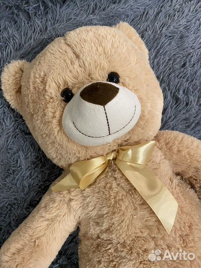 Плюшевый мишка