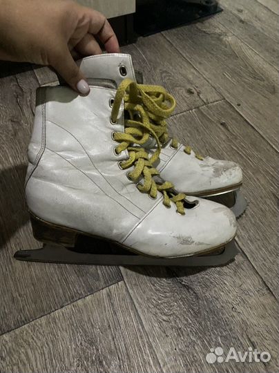 Коньки зимние