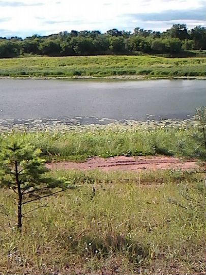 Участок 39 сот. (ИЖС)