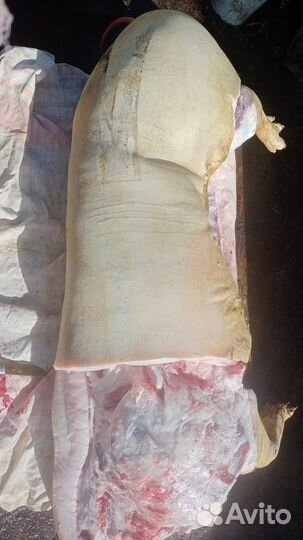 Забой скота