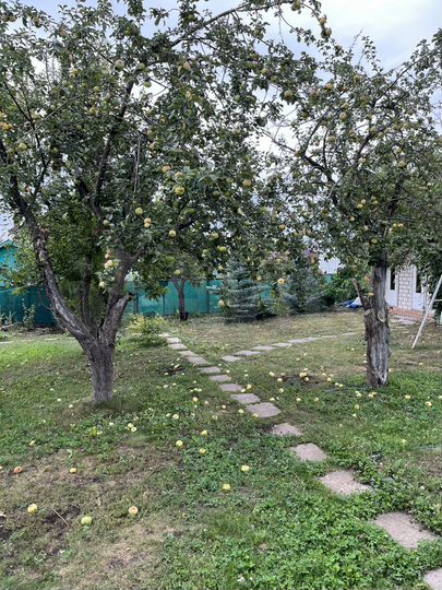 Дача 76,9 м² на участке 11 сот.