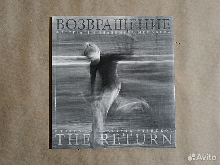 Возвращение, Владимир Мишуков