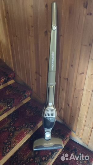 Пылесос Electrolux ergorapido