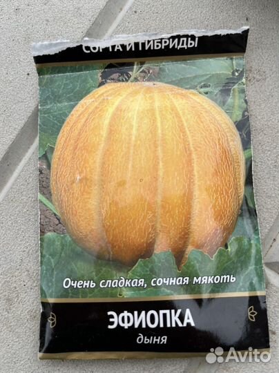 Обмен семенами