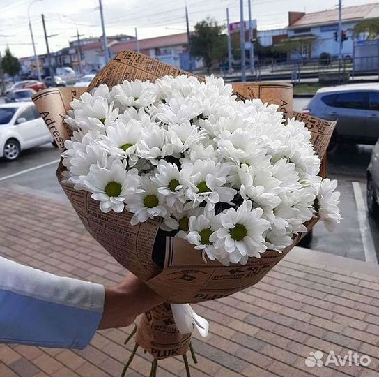 Хризантема Доставка цветов Букеты