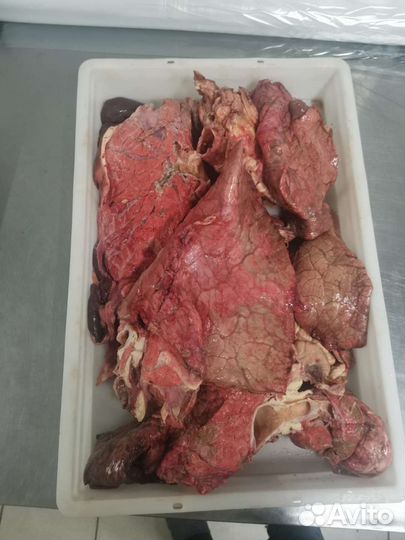 Корм для собак