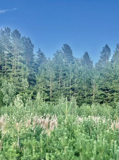 Участок 16,4 сот. (ИЖС)