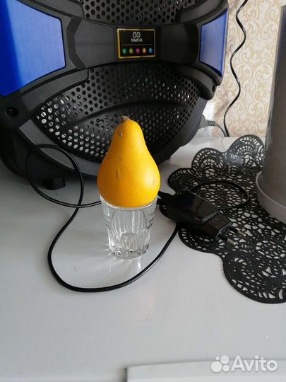 Семена декоративной тыквы
