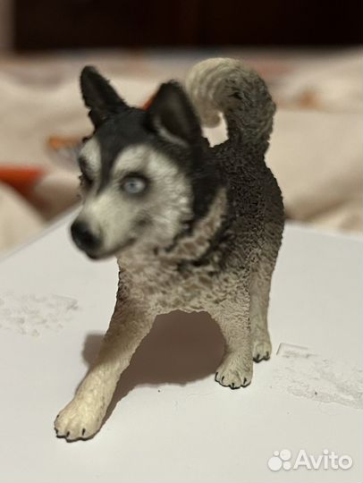 Фигурка собаки (хаски) schleich