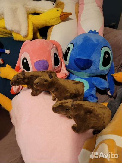 Кот Батон, акула, капибара, гуси, стич, соник