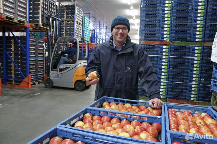 Разнорабочий вахта