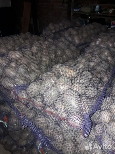 Картофель(воткинск), беспл. доставка