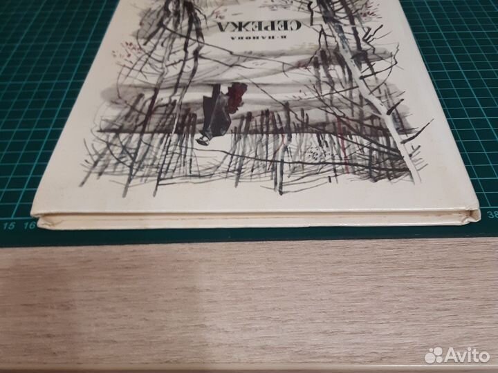 Сережа. В.Панова