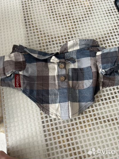 Одежда для собак