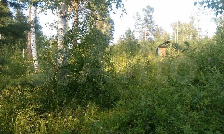 Участок 20 сот. (СНТ, ДНП)