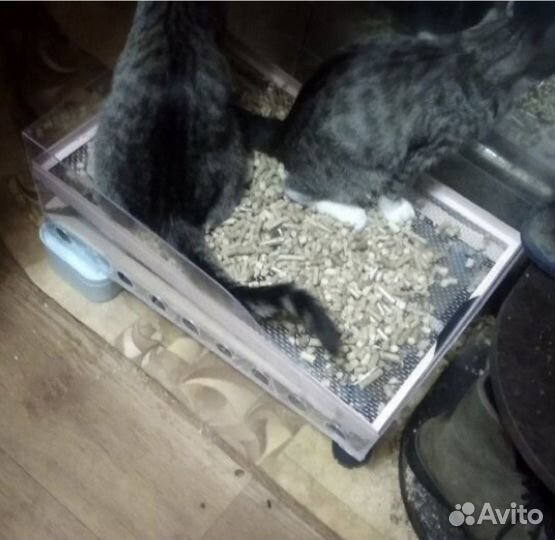 Лоток для Кошек от выпускников Бауманки (стандарт)