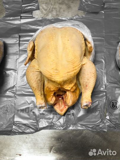 Мясо бройлера