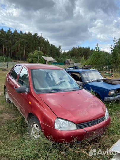 Калина разбор