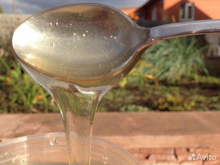 Липовый мед оптом