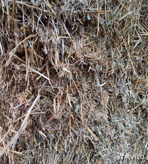 Сено солома в тюках