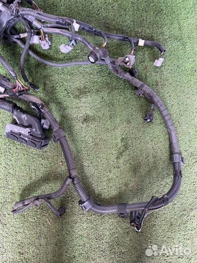 Коса двс Toyota Camry ACV40 2AZ