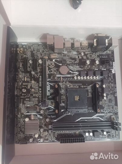 Asus prime a320m k