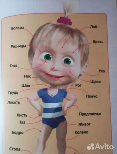 Маша и медведь Азбука Книги Канцтовары