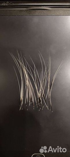 Вибриссы, Усы кота