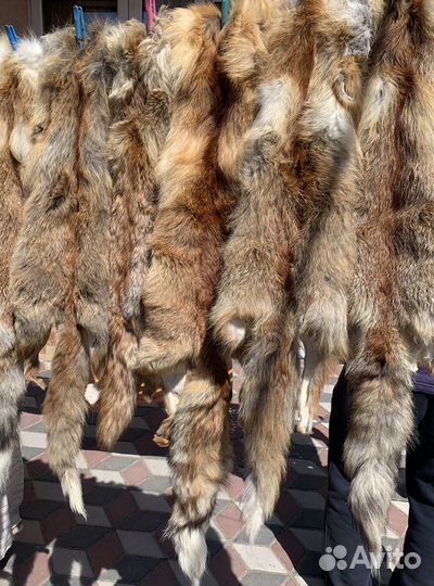 Шкура лисы