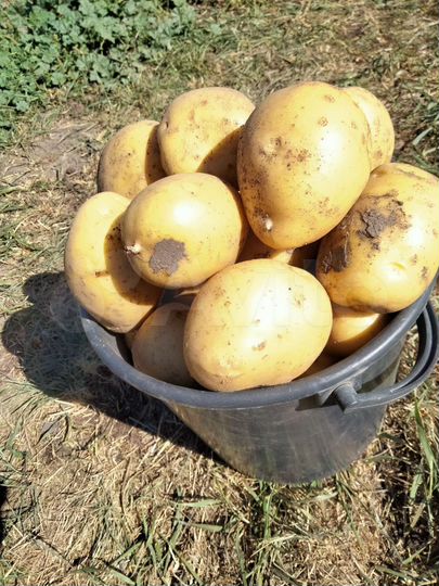 Дом 52 м² на участке 15 сот.