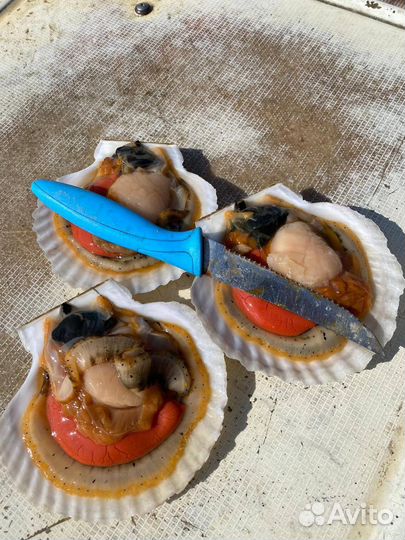 Икра Красная. Гребешок на Ракушке с Икрой