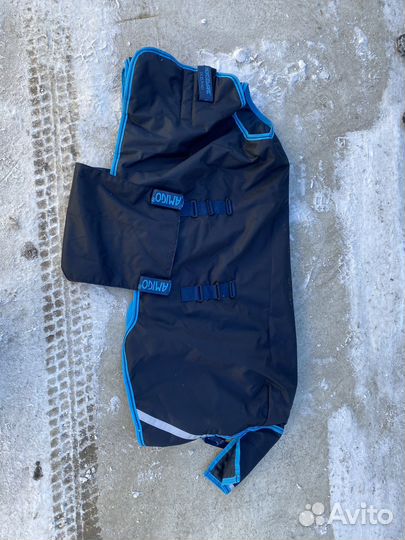 Попона на жеребенка