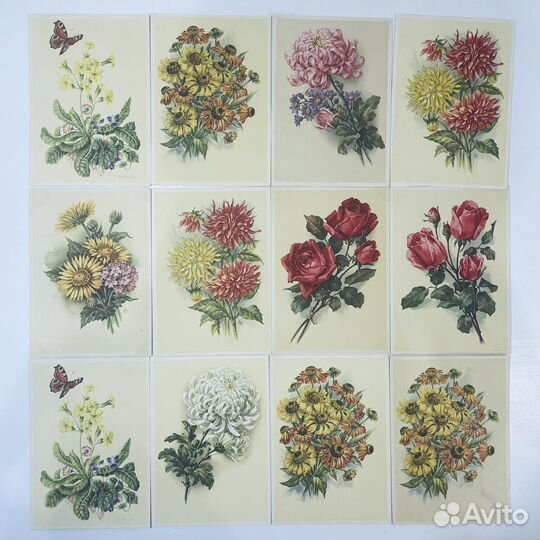 Цветы рисованные 50-е гг СССР ГДР