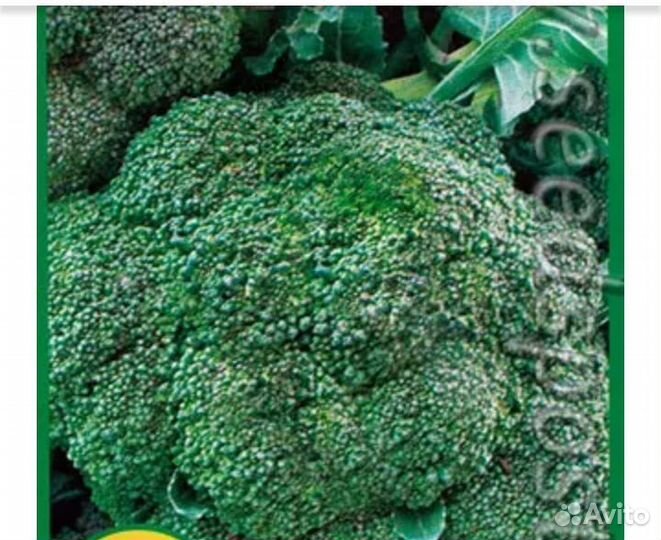 Капуста брокколи и цветная