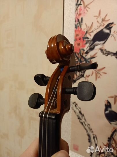 Скрипка 1/2 (2/4)