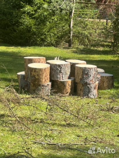 Дрова бесплатно