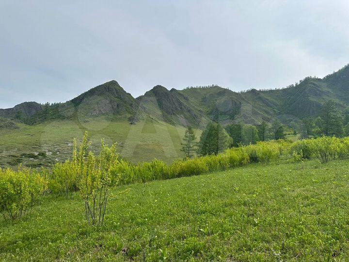 Участок 1,5 га (СНТ, ДНП)