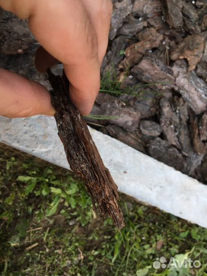 Кора сосны (мульча). Ручной сбор