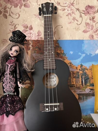 Укулеле концерт