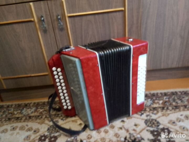 Гармонь Нарач 2