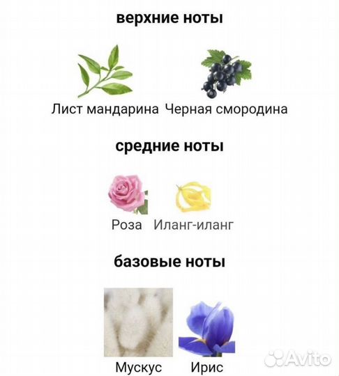 Туалетная вода Tiffany Sheer