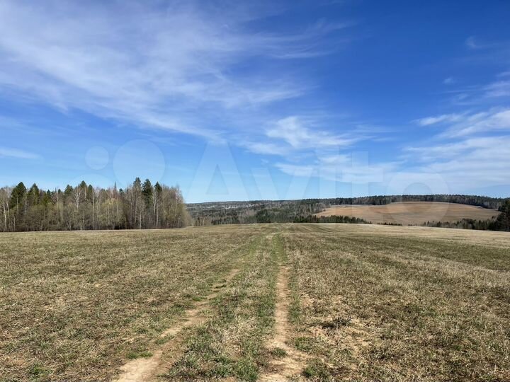 Участок 4,2 га (СНТ, ДНП)