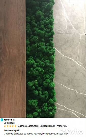 Стабилизированный мох для интерьера помещений