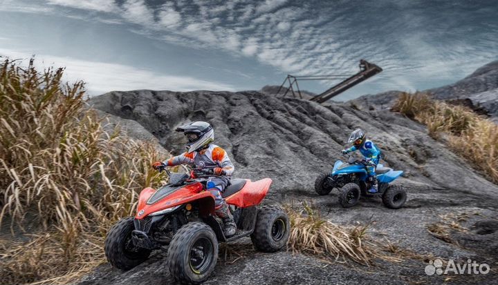 Квадроцикл детский cfmoto cforce 110 EFI