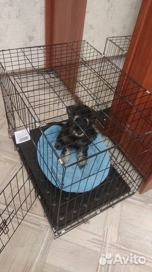Клетка для животных, для средних и мелких пород