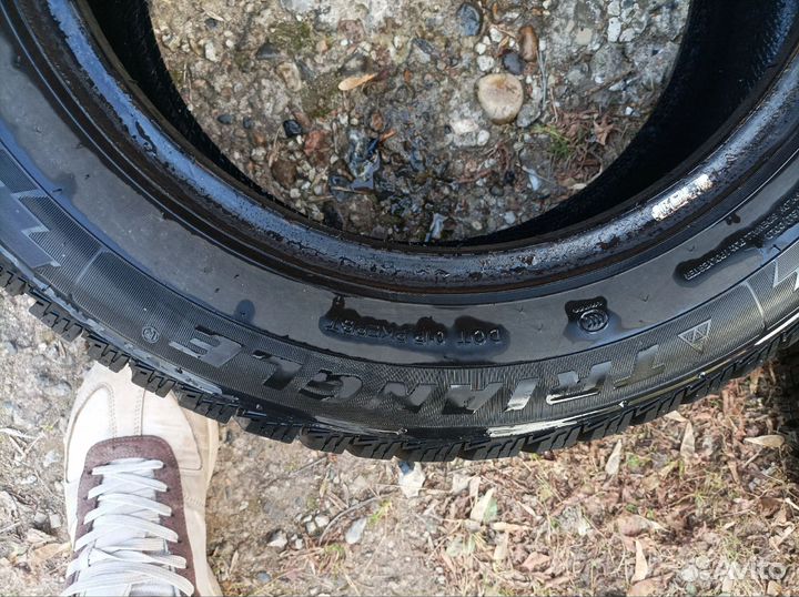 Triangle IcelynX TI501 205/60 R16