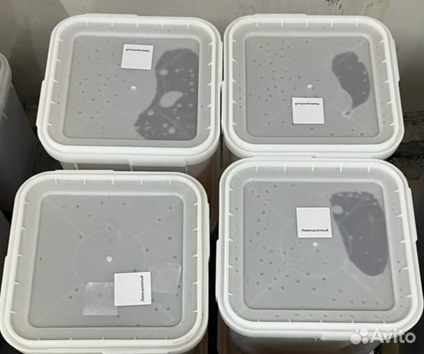 Гречишный мед оптом с Алтая