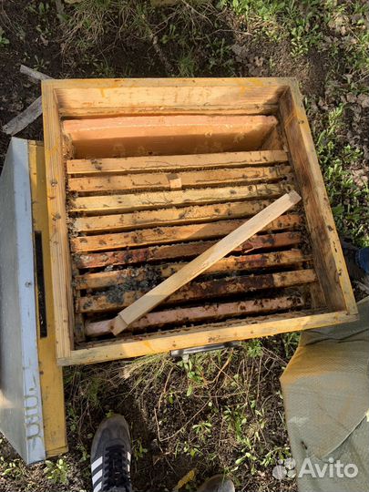 Пчелиные ульи