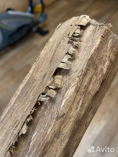 Египетский папирус 91*65 см + шкатулка в подарок