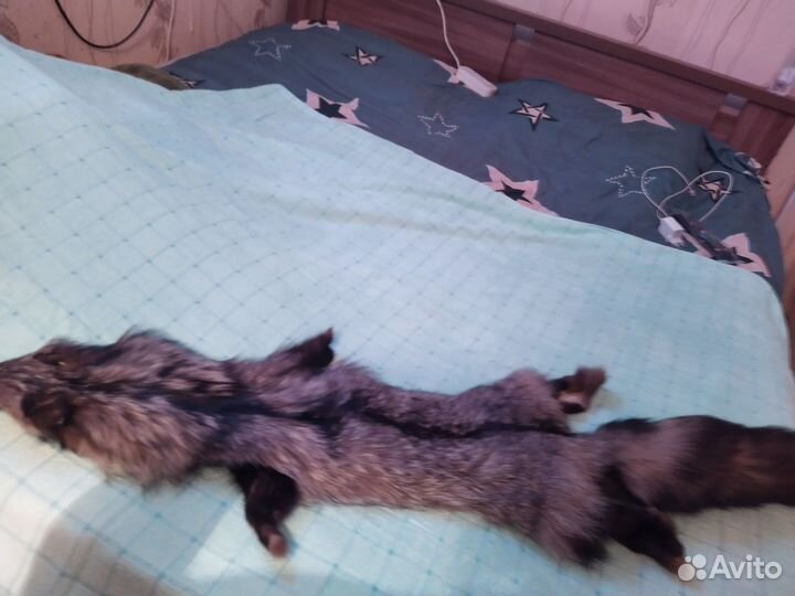 Шкурка чернобурка